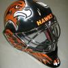 Airbrushed Goalie Mask custom paint Pittsburgh, PA